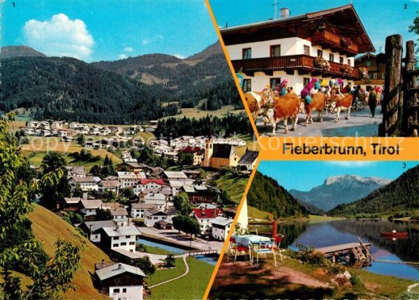 Fieberbrunn Tirol Almabetrieb Pillersee Steinplatte
