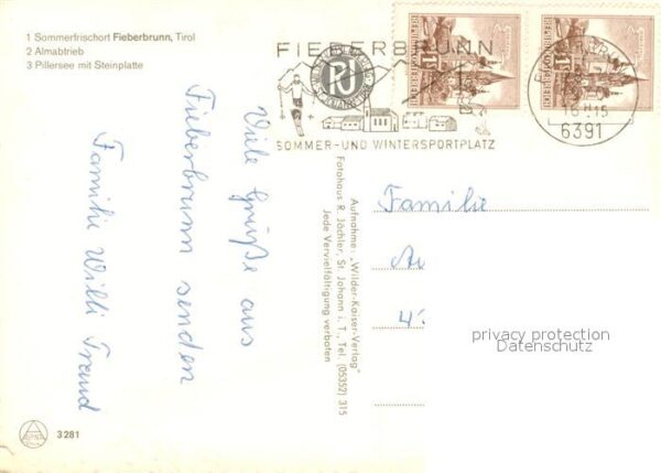 Fieberbrunn Tirol Almabetrieb Pillersee Steinplatte – Bild 2