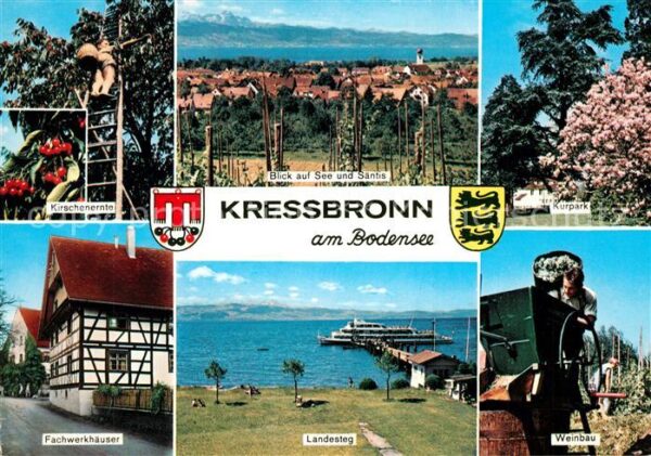 Kressbronn Bodensee Kurpark Weinbau Landesteg Fachwerkhäuse