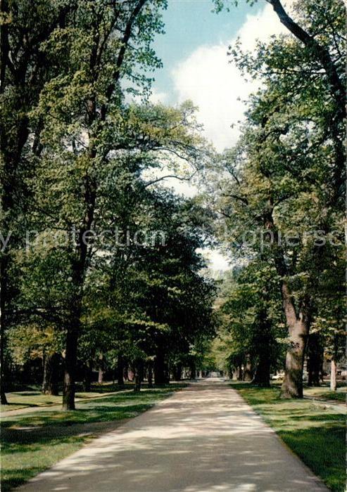 Arolsen Bad Grosse Allee
