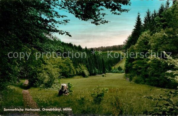 Horhausen Westerwald Sommerfrische Grenzbachtal Mühle Wald
