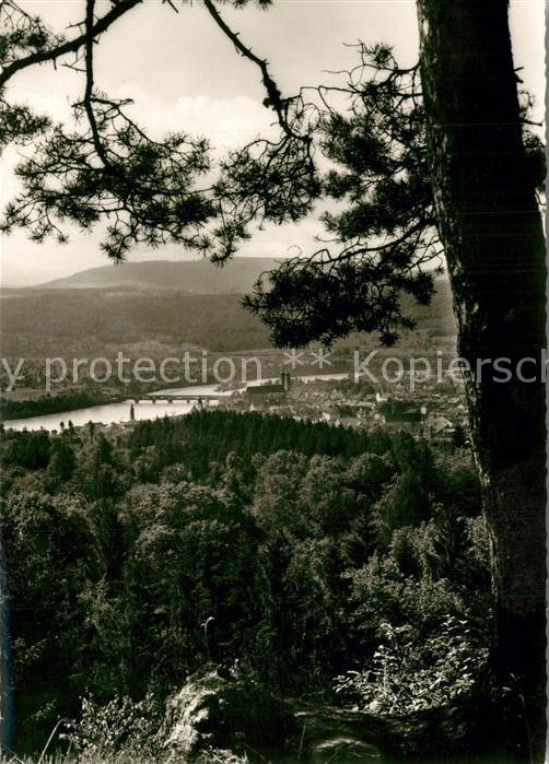 Bad Saeckingen Blick auf Stadt und Schweizer Berge