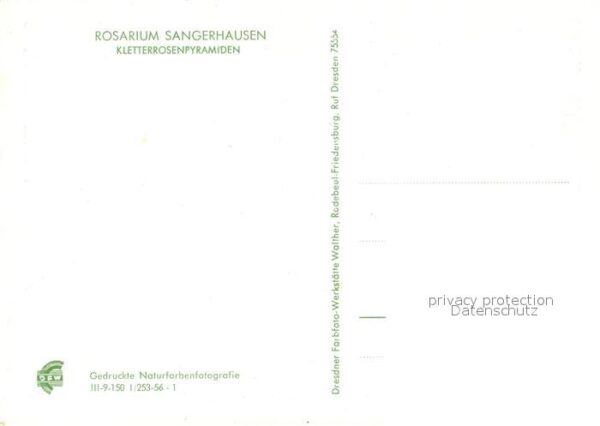 Sangerhausen Suedharz Rosarium Kletterrosenpyramiden – Bild 2