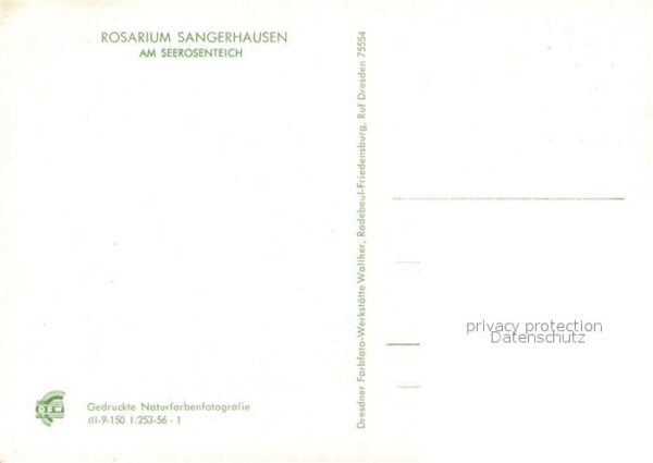 Sangerhausen Suedharz Rosarium Seerosenteich – Bild 2