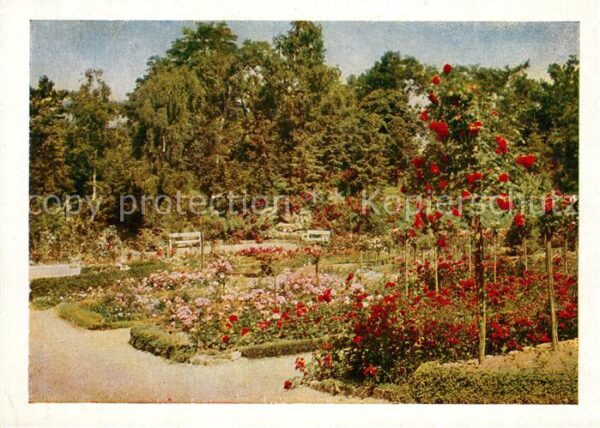 Sangerhausen Suedharz Rosarium Gedenkstein des Begründers Alb
