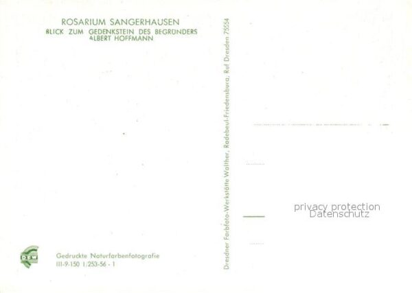Sangerhausen Suedharz Rosarium Gedenkstein des Begründers Alb – Bild 2