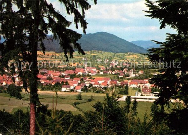 Reichenbach Lahr Panorama Blick vom Waldrand aus Schwarz