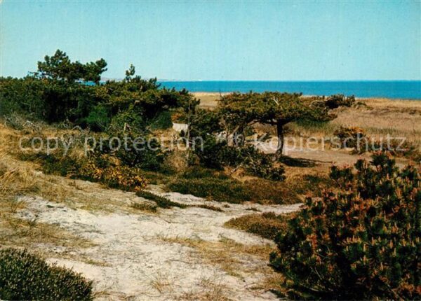 Kampen Sylt Landschaft bei der Vogelkoje Nordseebad