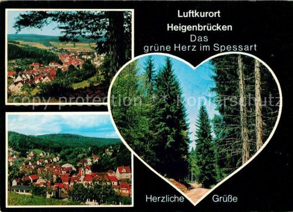 Heigenbruecken Das grüne Herz im Spessart Waldpartie P
