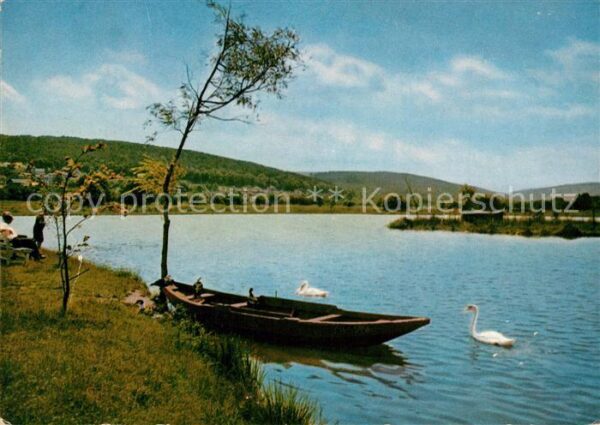 Bad Koenig Odenwald Uferpartie am See Ruderboot Schwäne