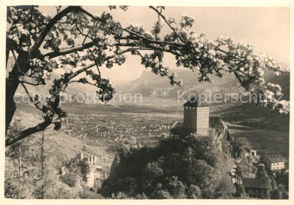 Merano Meran Castel Tirolo Schloss Tirol Baumblüte