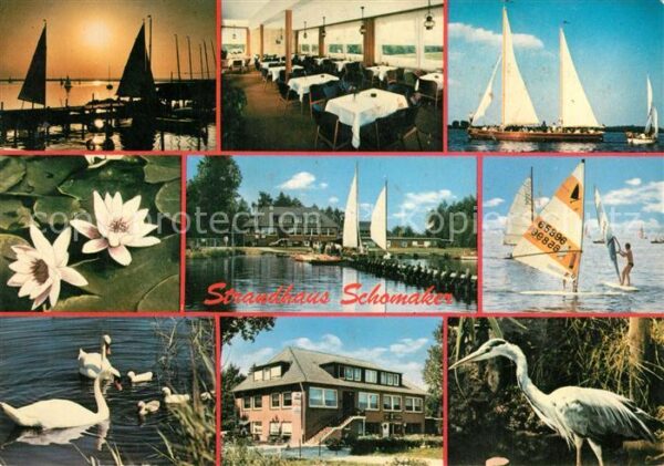 Duemmerlohausen Strandhotel Seerose Schwäne Reiher Wind