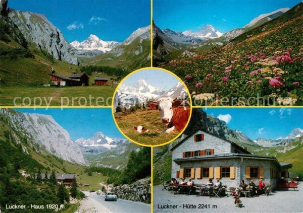 Kals Grossglockner Landschaftspanorama Bergwelt Alpenflora
