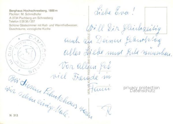 Puchberg Schneeberg Berghaus Hochschneeberg Alpenflora – Bild 2
