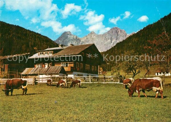 Ramsau Berchtesgaden Bauernhaus Viehweide Kühe