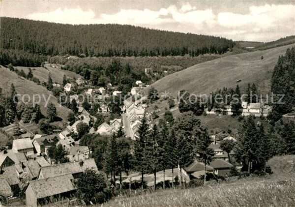Wildemann Panorama Blick ins Spiegeltal