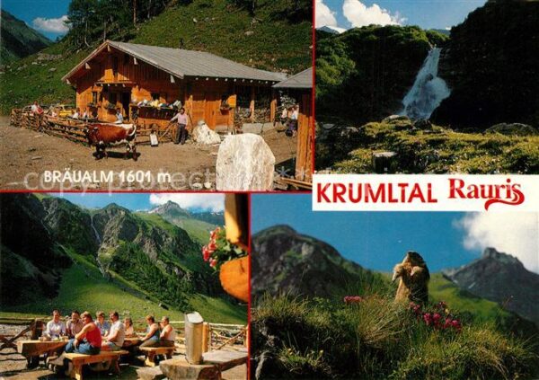 Rauris Krumltal Bräualm Murmeltier