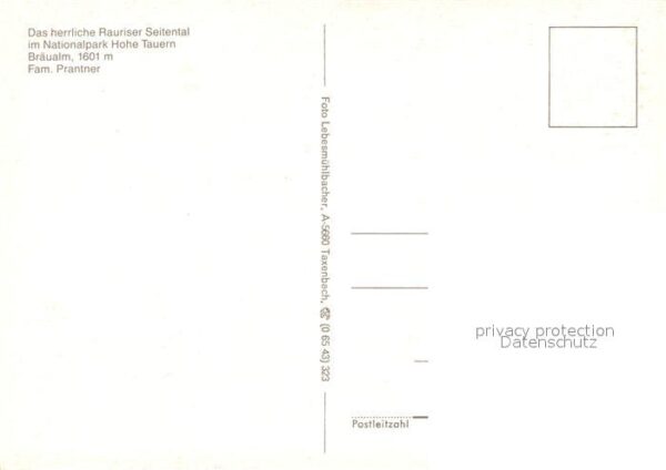 Rauris Krumltal Bräualm Murmeltier – Bild 2