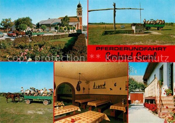Illmitz Pferderundfahrt Gerhard Gangl