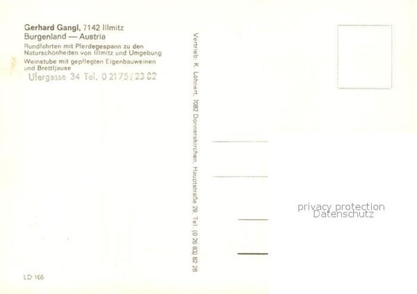 Illmitz Pferderundfahrt Gerhard Gangl – Bild 2