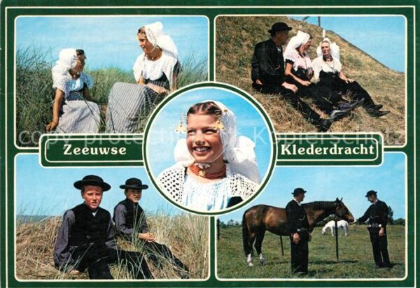 Zeeuws Vlaanderen Klederdracht Trachten Pferde