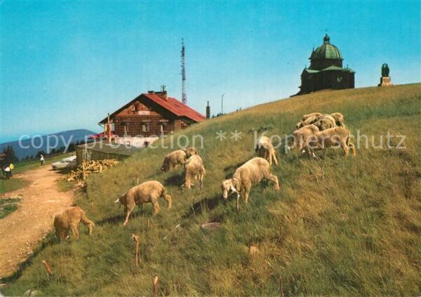 Beskydy Radhost Chata U kaple Berghaus Schafe