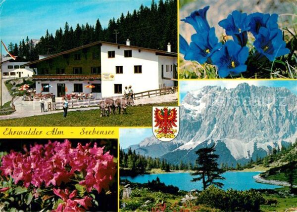Ehrwald Tirol Ehrwalder Alm Seebensee Wettersteingebi
