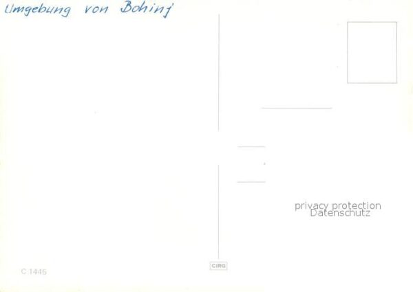 Bohinj und Umgebung aus der Vogelperspektive – Bild 2