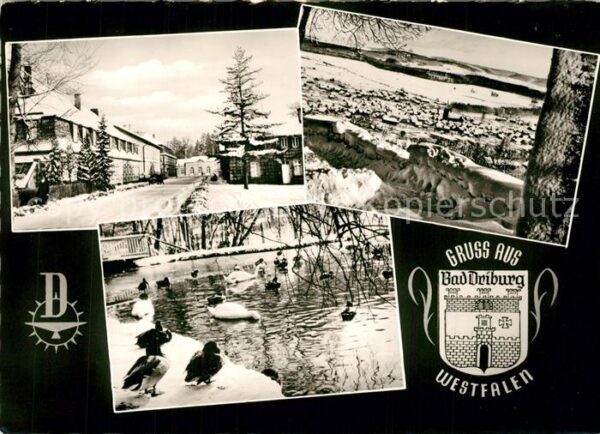Bad Driburg Ortsmotiv Schwanensee Winterpanorama Wa