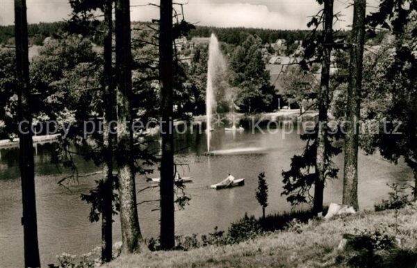 Braunlage Gondelteich Fontaine