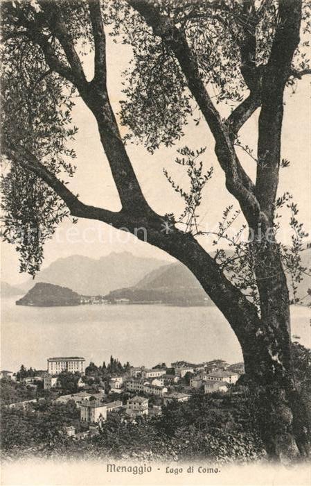 Menaggio Lago di Como Panorama