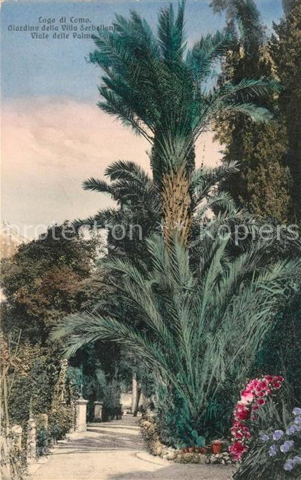Como Lago di Como Viale delle Palme