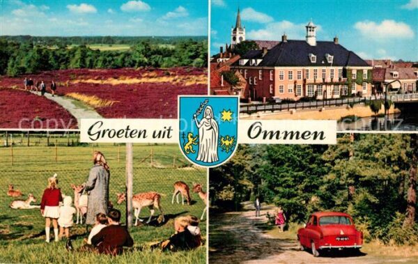 Ommen Overijssel Heide Damwild Rathaus