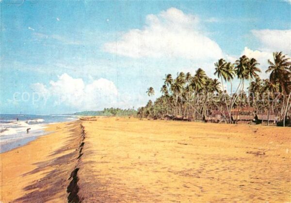 Sri Lanka Beach Negombo