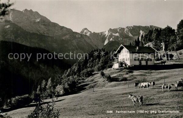 Partnachalm Panorama Dreitorspitze