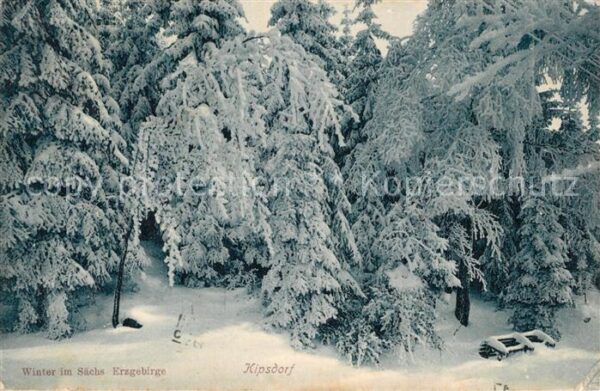 Kipsdorf Winterlandschaft