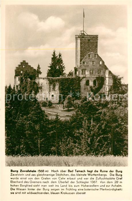 Bad Teinach-Zavelstein Burg Zavelstein
