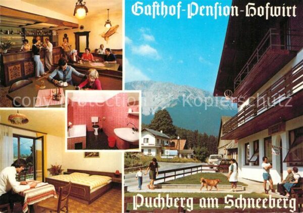 Puchberg Schneeberg Gasthof Pension Hofwirt