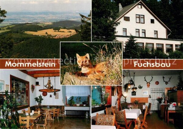 Brotterode Berggaststätte Zum Fuchsbau Mommelstein