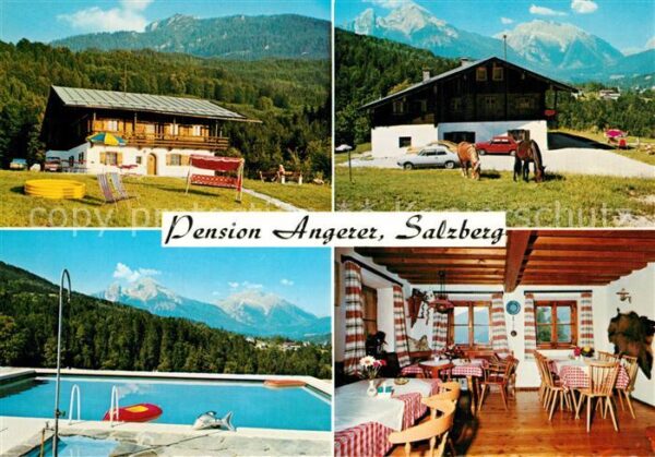 Salzberg Berchtesgaden Pension Angerer Swimming Pool Pferde Al
