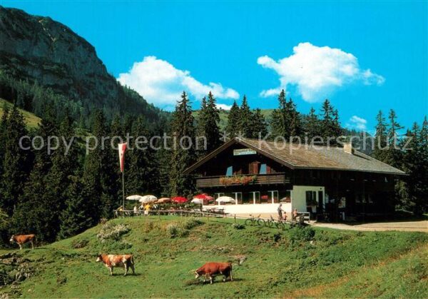 Thiersee Berggasthof Ackernalm Almvieh Kühe Alpe