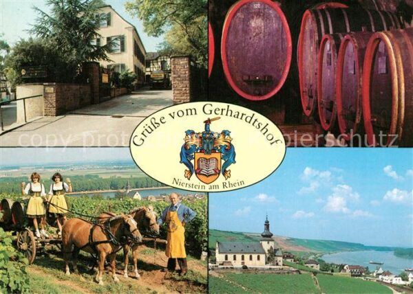 Nierstein Rhein Gerhardtshof Weinberge Weinlese Weinkel