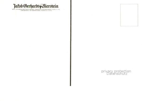 Nierstein Rhein Gerhardtshof Weinberge Weinlese Weinkel – Bild 2