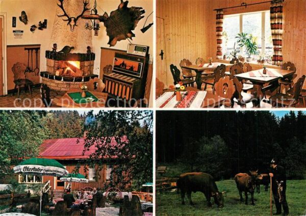 St Andreasberg Harz Waldgaststätte Rinderstall Rinder