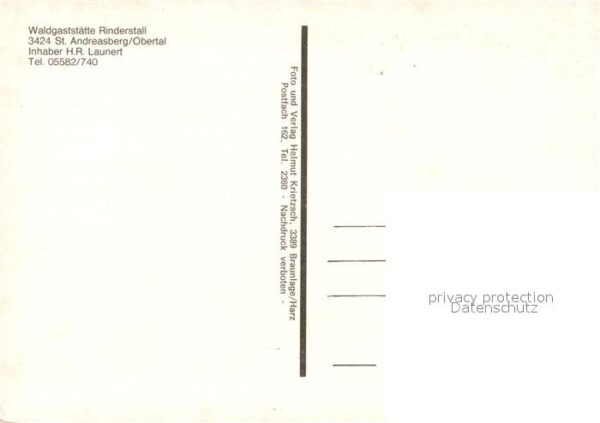 St Andreasberg Harz Waldgaststätte Rinderstall Rinder – Bild 2