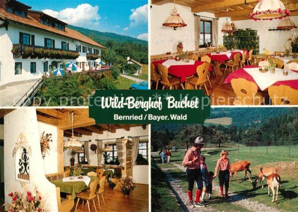 Bernried Niederbayern Wild-Berghof Buchet Wild