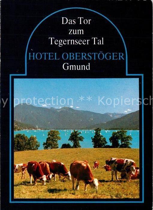 Gmund Tegernsee Hotel Oberstöger Kühe See