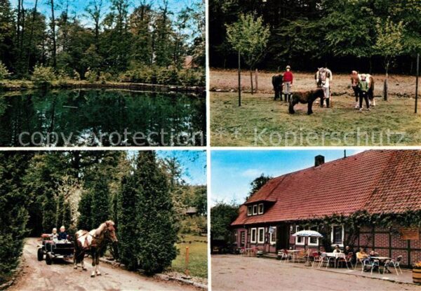 Harber Moor Urlaub auf dem Bauernhof Pension Willen