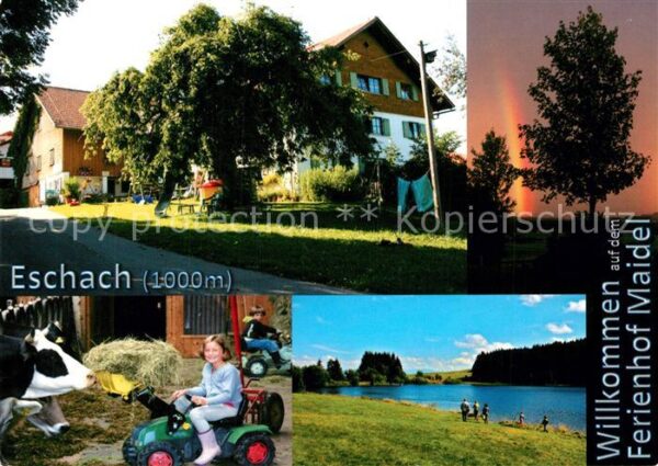 Eschach Kempten Ferienhof Maidel Kinder im Stall Badese