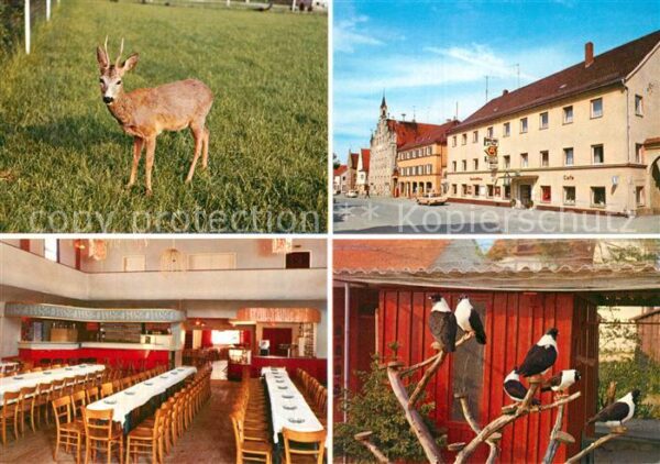 Langquaid Hotel zur Post Rehkitz Vögel